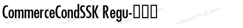CommerceCondSSK Regu字体转换